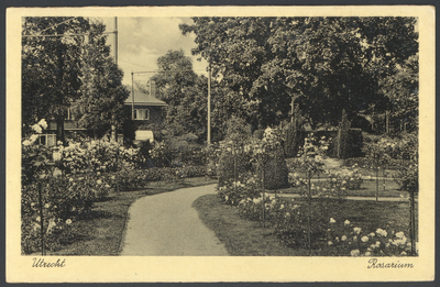 606089 Gezicht in het rosarium Oudwijk te Utrecht.